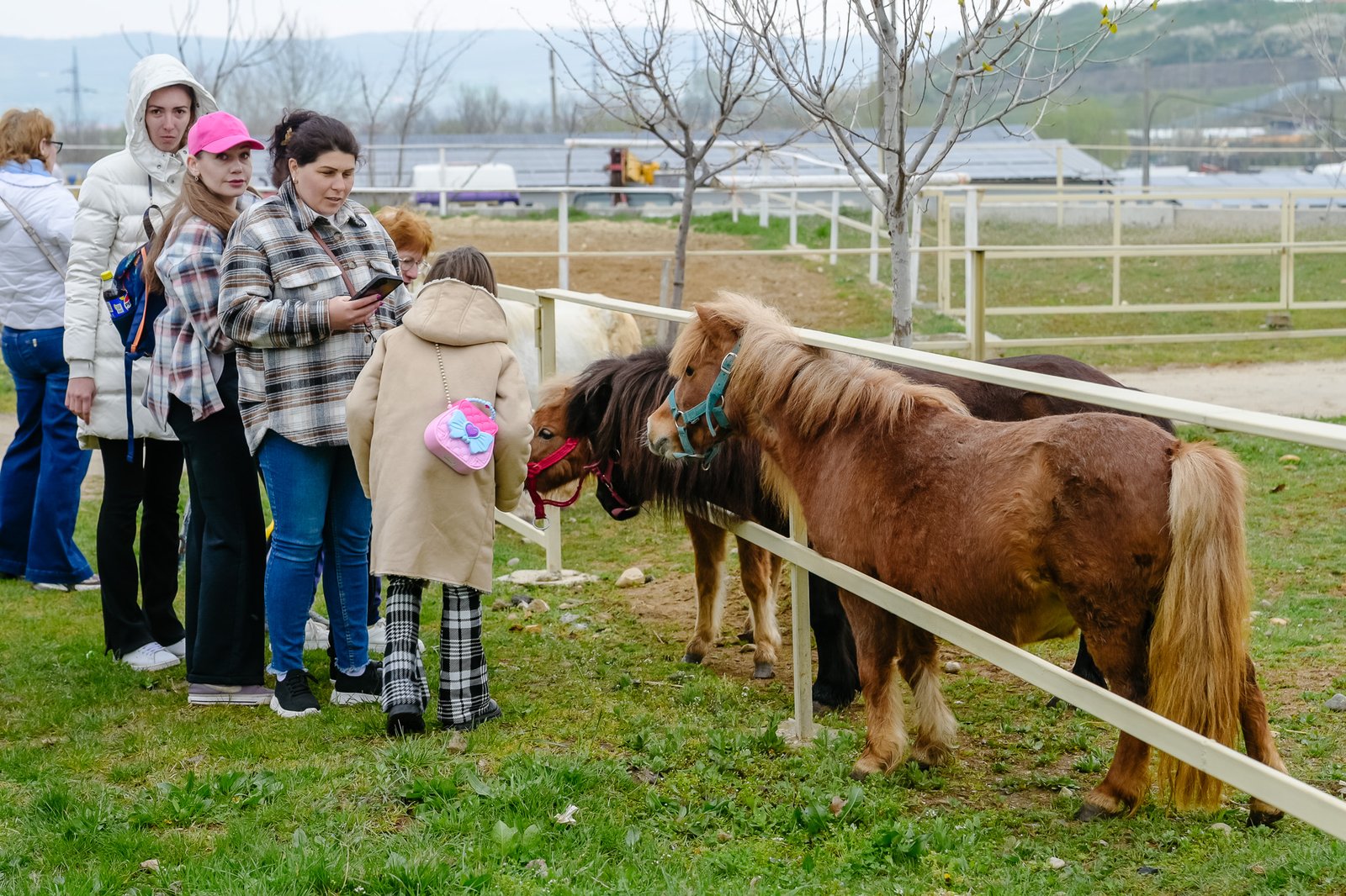 Prima ediție ,,Împreună Creștem Frumos”, la Severin! Copiii cu autism se bucură de activități speciale în mijlocul cailor.